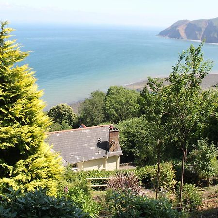 North Walk House Bed and Breakfast Lynton Exteriör bild